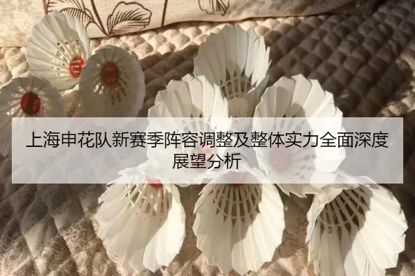 上海申花队新赛季阵容调整及整体实力全面深度展望分析 - LEYU SPORTS